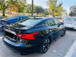 نيسان ماكسيما